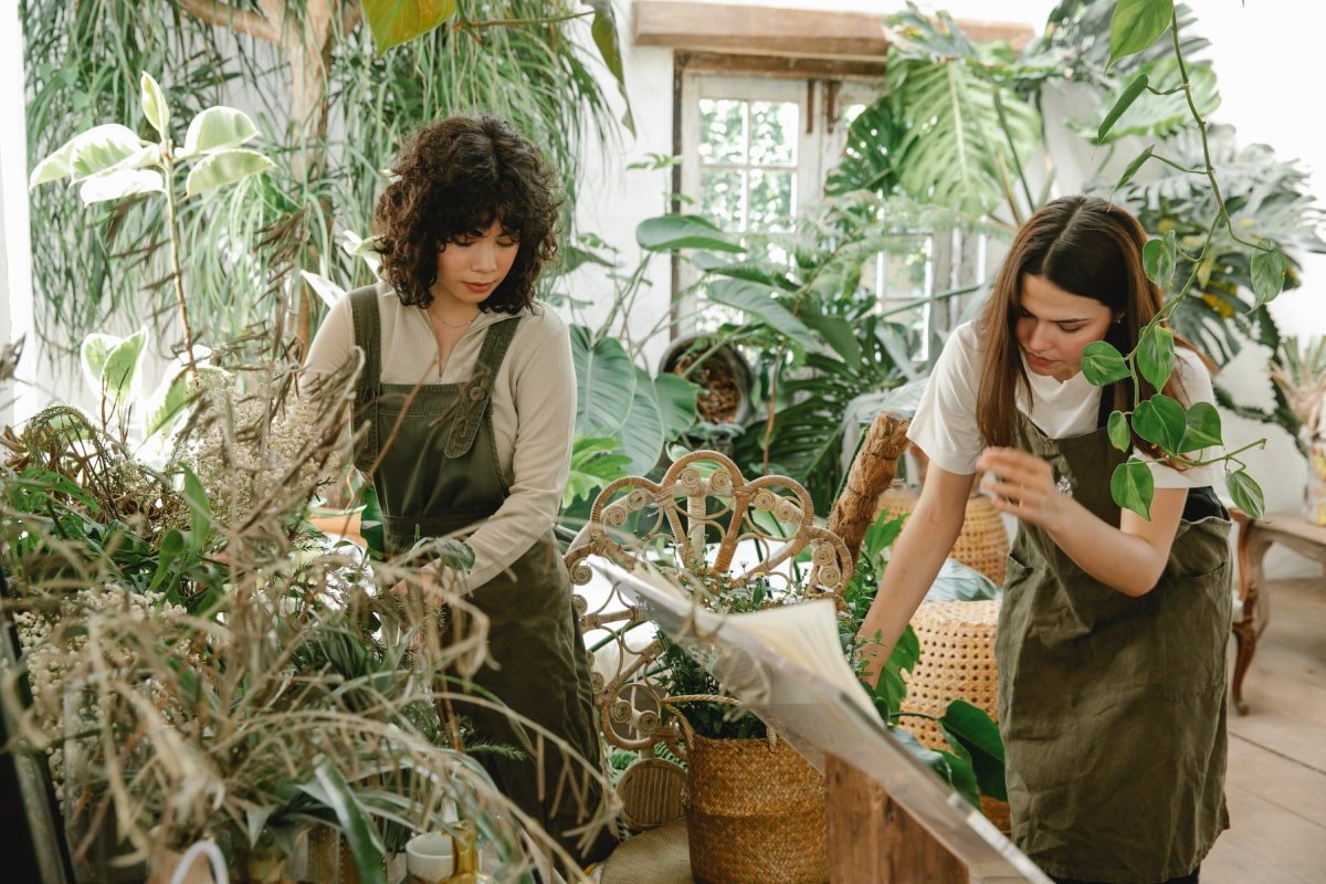 The benefits of houseplants