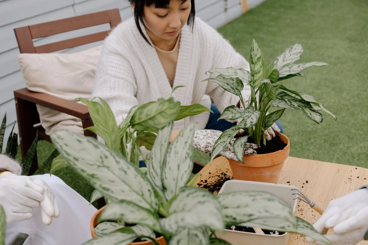 What is biophilic design?